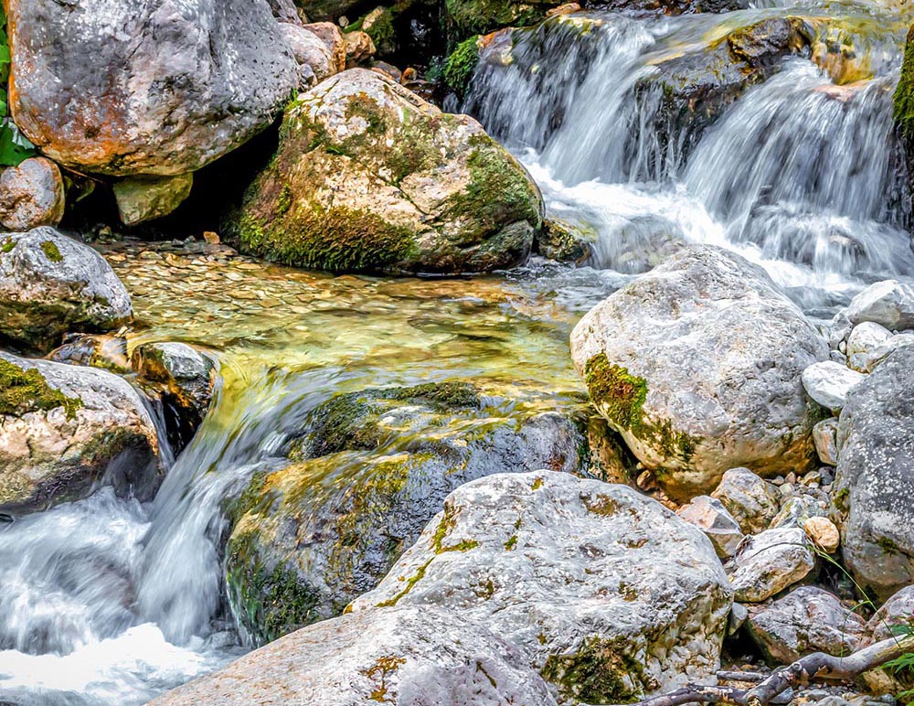 Bachblüte Nr. 27: WASSER aus heilkräftigen QUELLEN – Rock Water